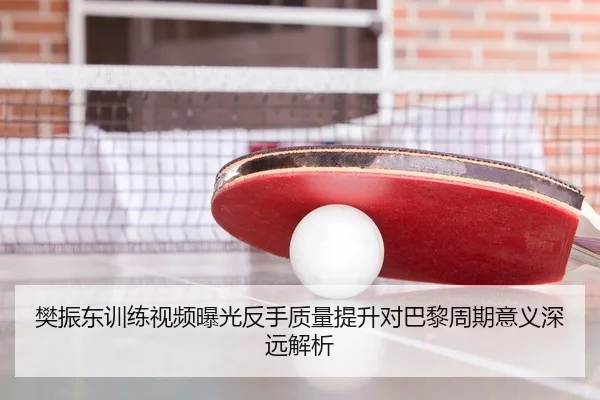 樊振东训练视频曝光反手质量提升对巴黎周期意义深远解析